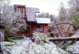 Garden and house in snow