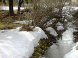 Stream in our garden